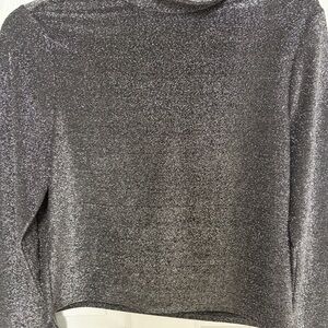 Elegant Silver Women's Long Sleeve Crop top